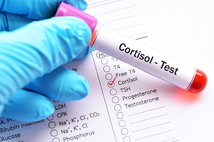 cortisol